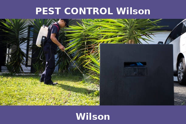 PEST CONTROL Wilson